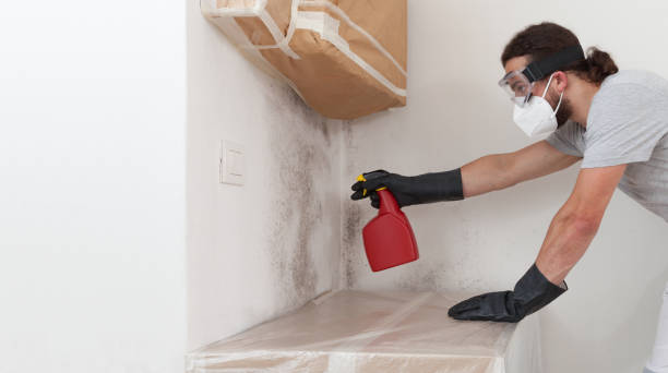 Professional Bathroom Mold Removal technician working in Zarephath, NJ